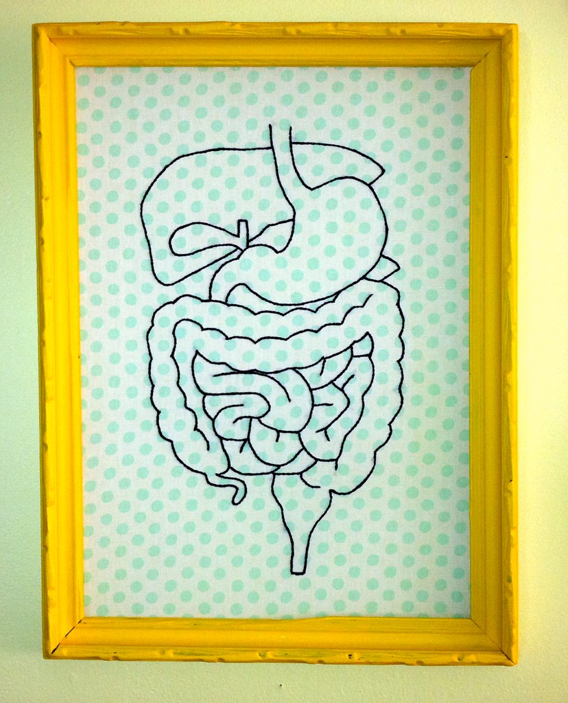 Full Digestive System Embroidery